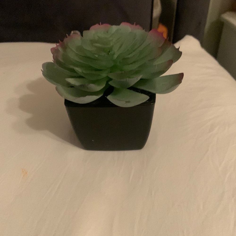 Artificial plant small
